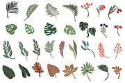 Sale Botanicum, a Texture Illustration by Mii Lab (Thumbnail 13 of 13)
