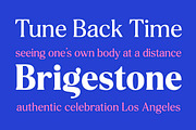 Delvona Serif Family, a Serif Font by Mulkan Nazir (Thumbnail 2 of 15)
