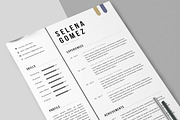 Professional Cv Template, a Resume Template by Emaholic Template (Thumbnail 4 of 5)