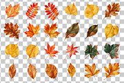 Watercolor Autumn Leaves Clipart, a Decorative Illustration by Nicolle's Colorful Art (Thumbnail 3 of 5)