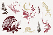 Woodland Mystic Animals & Botanical, a Decorative Illustration by Christine Krahl (Thumbnail 4 of 12)