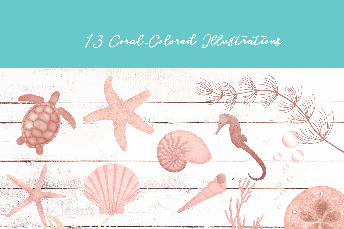 Underwater Illustrations, an Illustration by Maggie Stilwell Design (Photo 4 of 8)