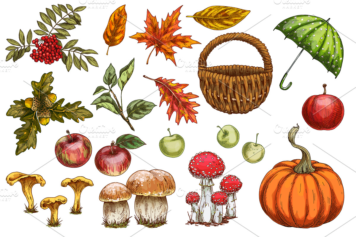 Autumn. New season Illustration Pack, an Object Graphic by Schumacher Shop (Photo 2 of 9)