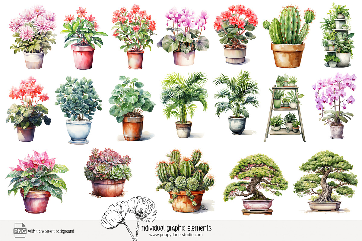100 watercolor house plants clip art, a Seasonal Illustration by Poppy Lane Studio (Photo 3 of 12)