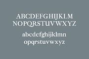 Eadita Luxury Serif Font Family, a Serif Font by Creativetacos (Thumbnail 3 of 12)