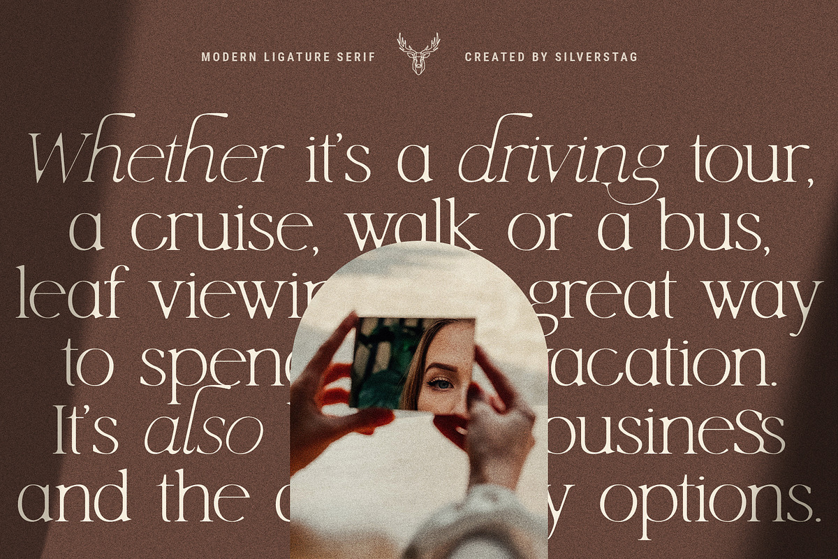 Lucky Feelings - Serif Font Family, a Serif Font by SilverStag Type Foundry (Photo 9 of 12)