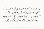Zoxi, a Calligraphy Script Font, a Script Font by Up Up Creative (Thumbnail 8 of 8)