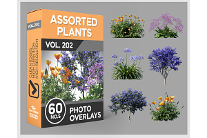 60 Assorted Plants Photo Overlays
