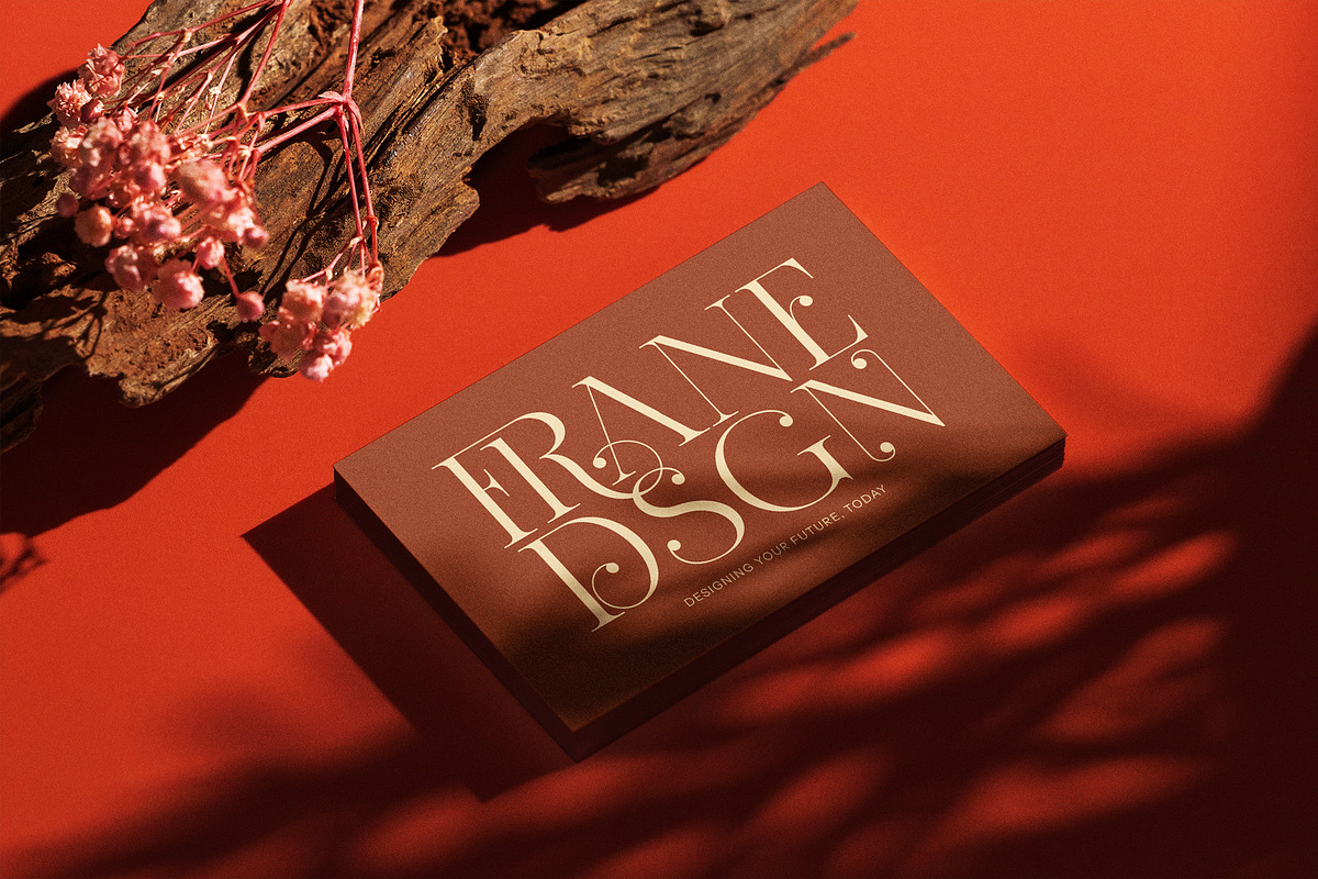 Frane Rhiger Elegant Serif Font, a Serif Font by Graphicxell (Photo 7 of 8)