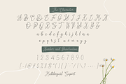 Cashman, a Script Font by Forberas Club (Thumbnail 6 of 7)