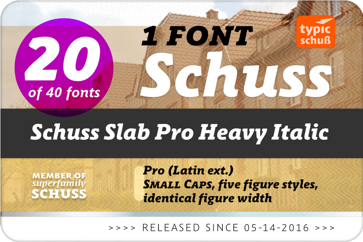 SchussSlabProHeavyIta No.20 (1 Font) preview 2