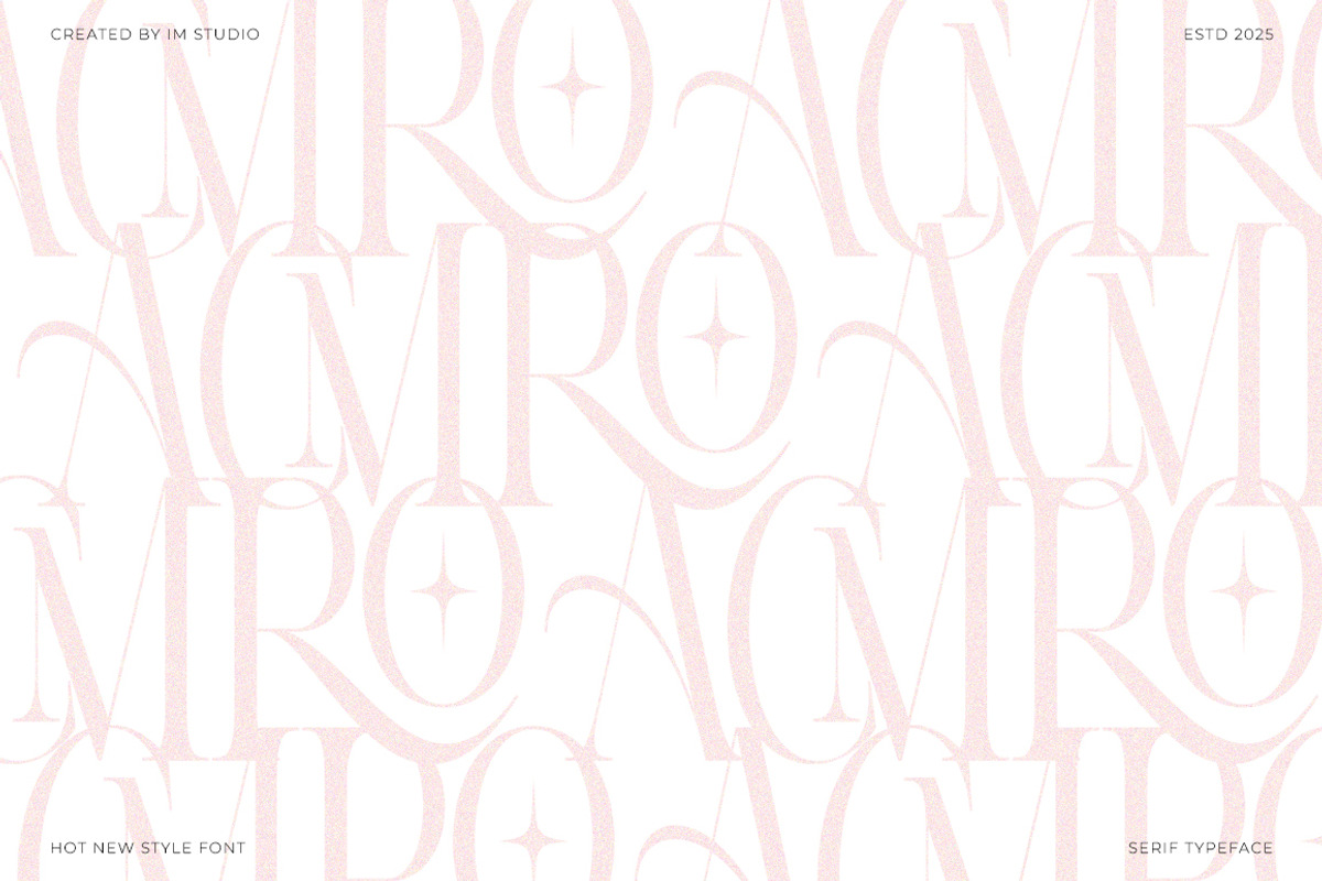 Aroney Family | 5 Style Fonts, a Serif Font by IM Studio (Photo 3 of 12)