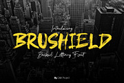 DnK Project BUNDLE, a Serif Font by D&K Project (Thumbnail 22 of 24)