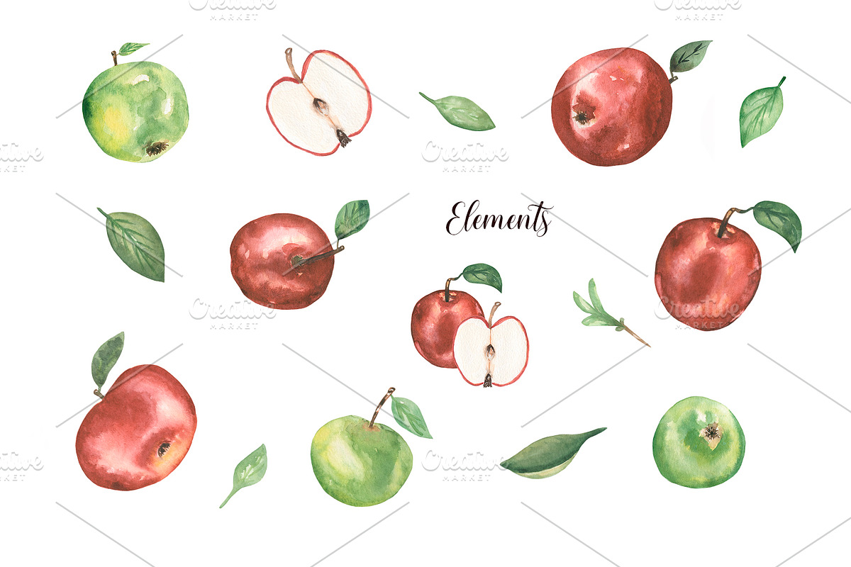 Watercolor Apple Collection, a Food Illustration by MayaNavits (Photo 3 of 7)