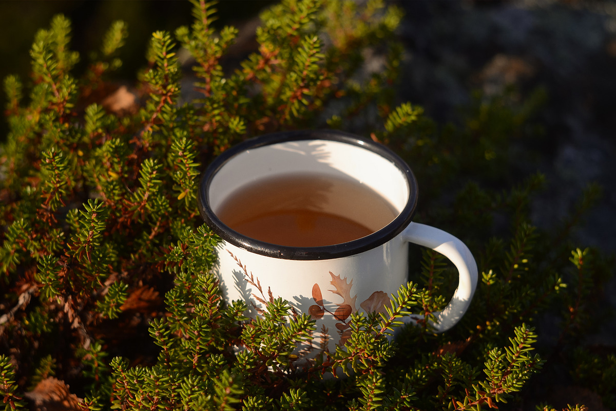 Camping Mug Photo Mockups Set, a Cups & Container Mockup by NataliArkushArt (Photo 6 of 8)