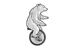 Unicycle Bear Sketch Vector