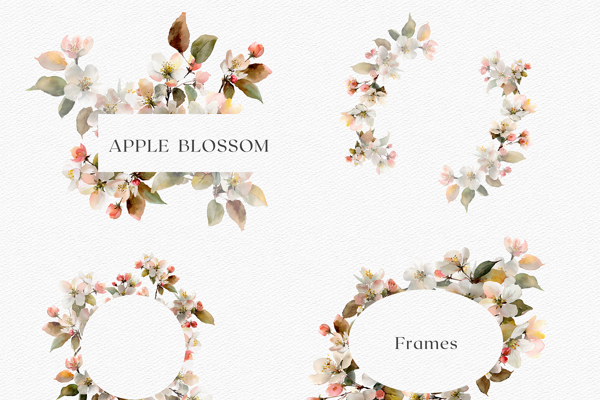 Watercolor Apple Blossom Bouquet, a Decorative Illustration by ThaismotaCreativeCo (Photo 7 of 11)