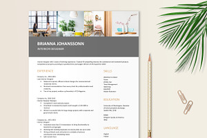 Interior Designer, Decorator Resume