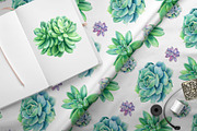 watercolor cacti and succulents, a Decorative Illustration by Hanna Hryharenka (Thumbnail 6 of 9)
