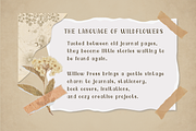 Willow Press - Vintage Serif Font, a Serif Font by V Design Creator (Thumbnail 4 of 9)
