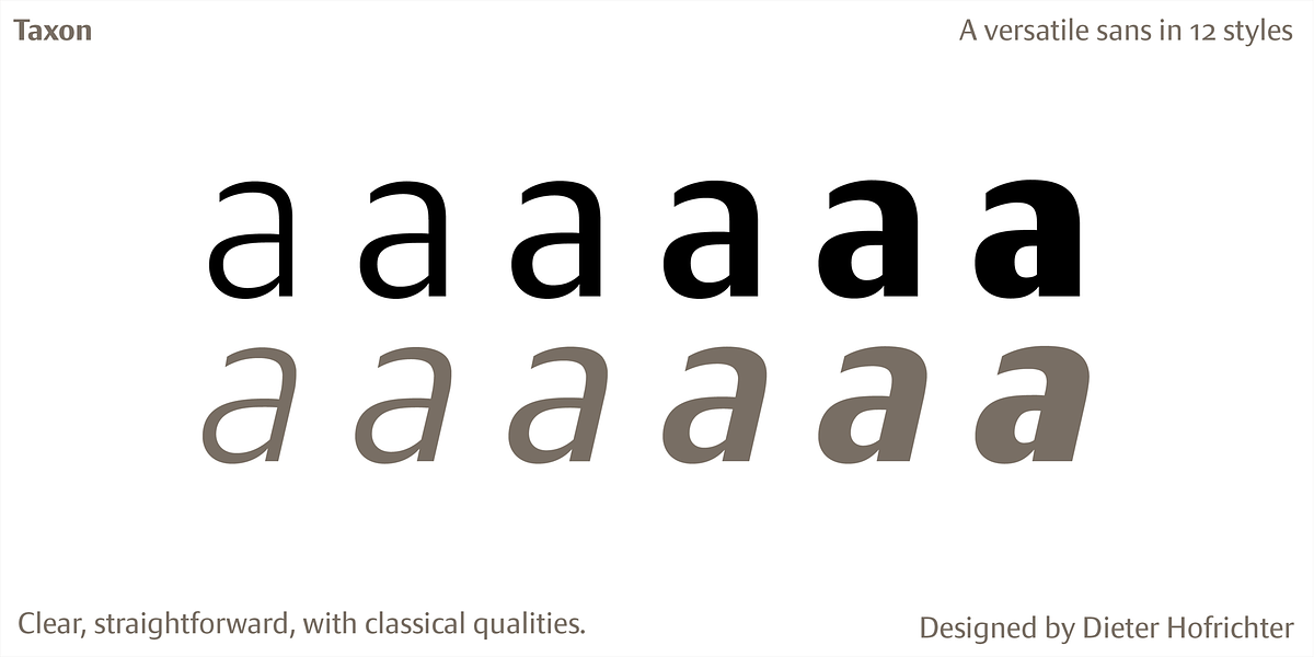 Taxon, a Sans Serif Font by Hoftype (Photo 9 of 15)