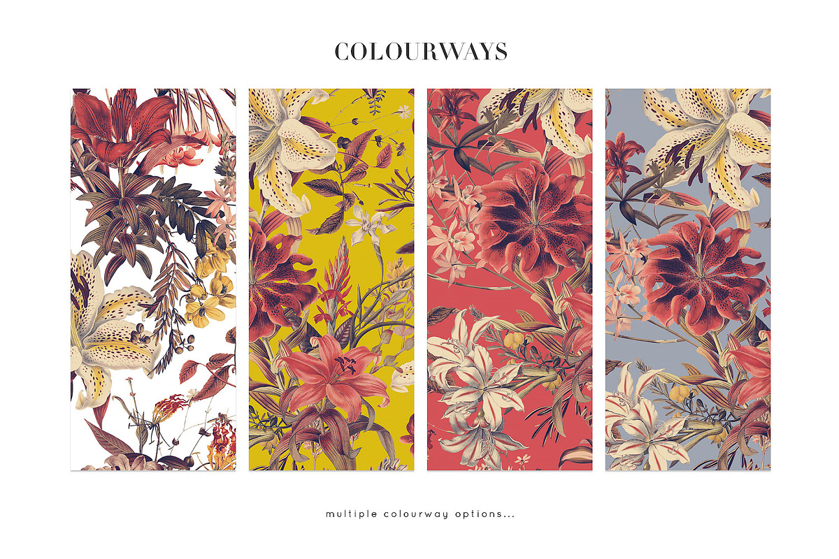 Orpheus Vintage Archive Lily Prints, a Pattern Graphic by TSTUDIO (Photo 3 of 10)