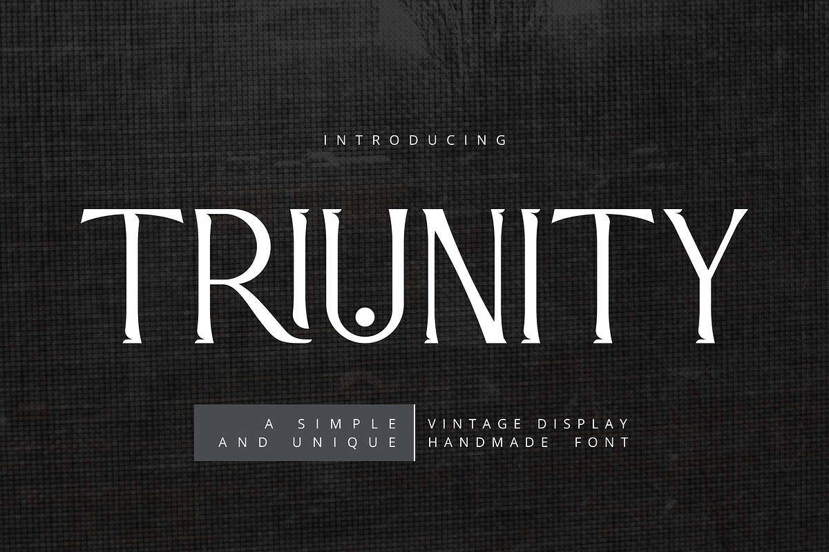 Triunity Vintage Display Font, a Handwritten Font by Fannan Studio (Photo 1 of 6)