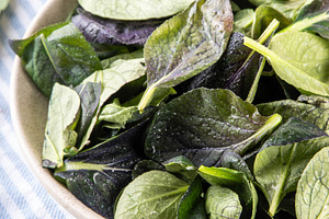 Ready to eat fresh bok choy or pak choi leaves, a Food & Drink Photo by Rimma