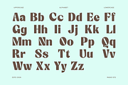 Candeur Modern Editorial Serif Font, a Serif Font by Rasio Studio (Thumbnail 2 of 9)