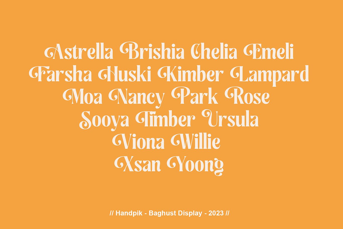 Young Modern Serif Font, a Serif Font by Luna Shop (Photo 8 of 8)