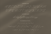 Waittelian Grolinda, a Script Font by Storytype Studio (Thumbnail 13 of 15)