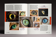The Colorful Magazine, a Magazine Template by Luuqas Design (Thumbnail 8 of 8)