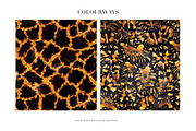 Turtle Animal Patterns, a Pattern Graphic by Luiz da Rolt Grathwohl (Thumbnail 5 of 11)