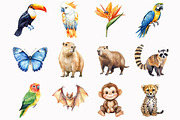 Rainforest Animals Clipart, an Illustration by Design Market (Thumbnail 4 of 5)