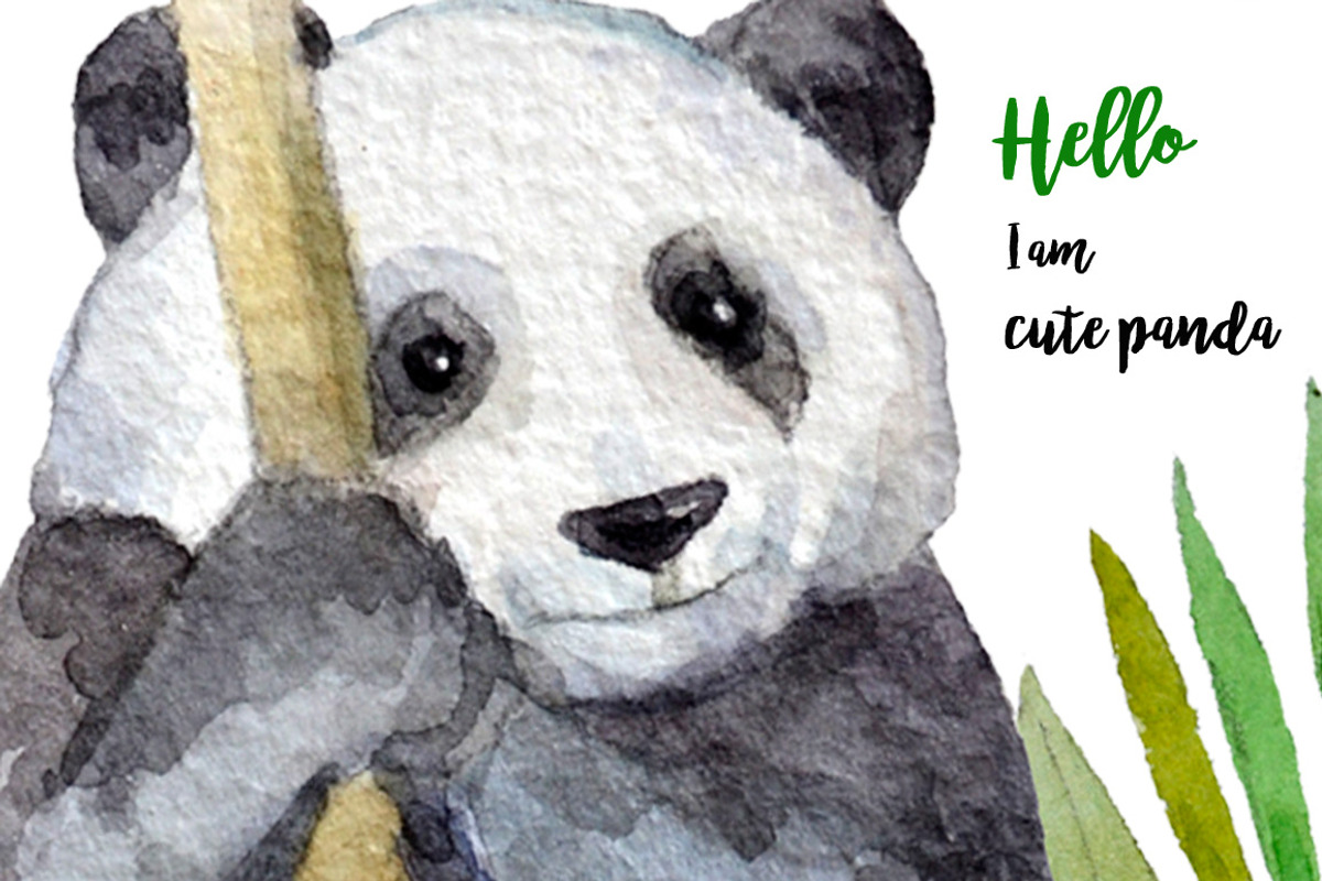 Watercolor animal cliparts,patterns., an Animal Illustration by yulia.sukhanova (Photo 3 of 5)