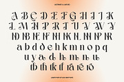 Amethyste Modern Stylish Serif Font, a Serif Font by Heinzel Std (Thumbnail 10 of 15)