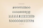 Arnnelo | Modern Display Serif, a Serif Font by gracetype_studio (Thumbnail 12 of 12)
