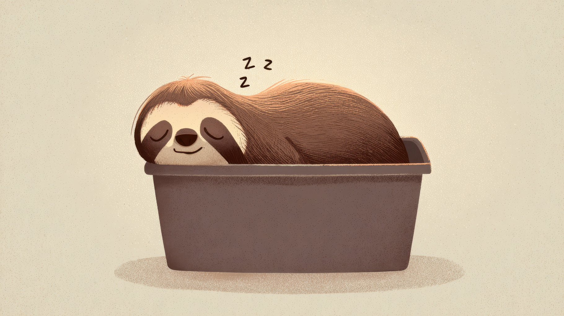 Sloth sleeping in a small box, a Photo by Beautiful things