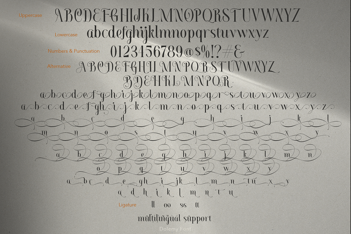 Dolemy Classic Script Font, a Script Font by TypeClassHeroes (Photo 10 of 10)