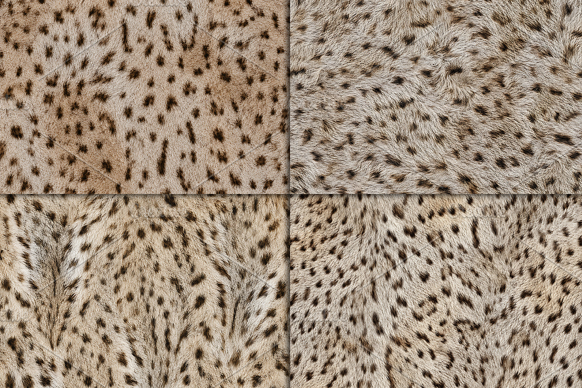 Realistic Cheetah Fur Texture, a Pattern Graphic by Artonix (Photo 4 of 4)