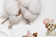 40 Birthday Dog Clipart PNGs, an Animal Illustration by Pati Charm Studio (Thumbnail 9 of 9)