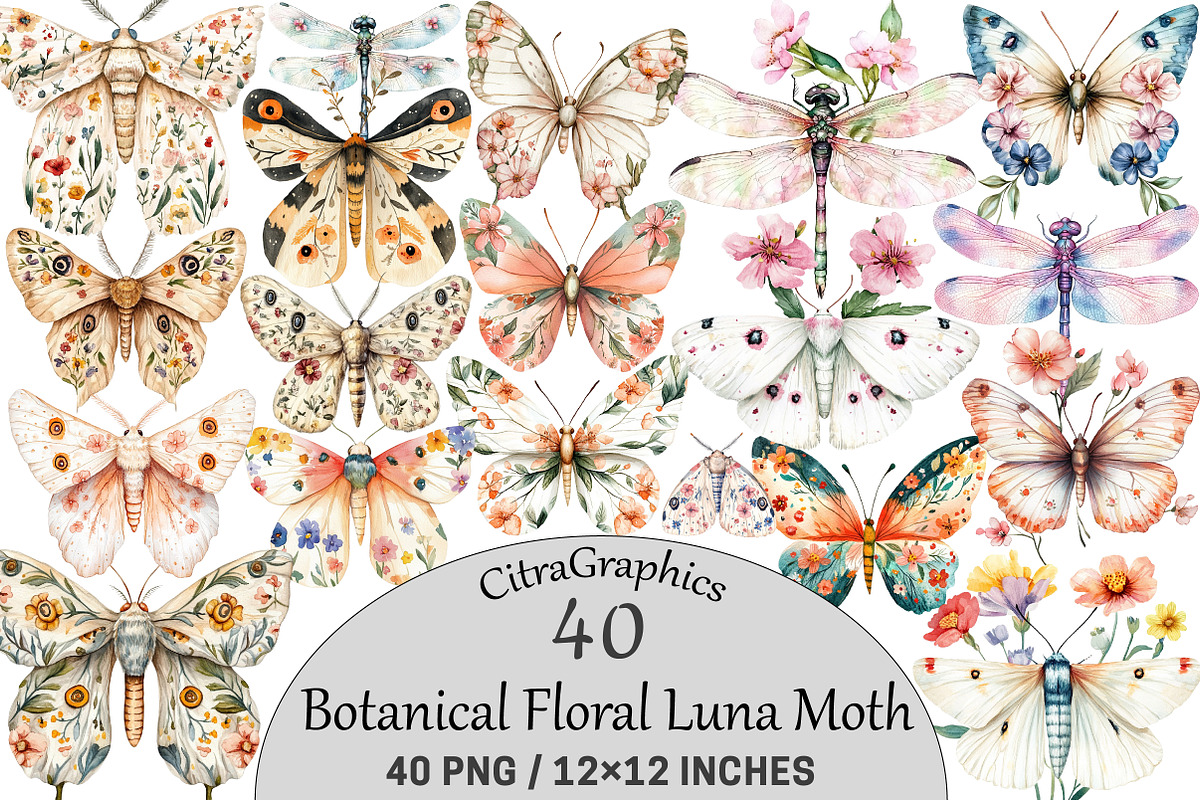 Botanical Floral Luna Moth, an Illustration by CitraGraphics (Photo 1 of 5)