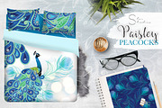 Paisley Peacocks Pack, an Illustration by Dana Designs (Thumbnail 4 of 5)