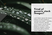 Liquid Jewels – Macro Photography, a Nature Photo by Virgo Studio (Thumbnail 2 of 6)