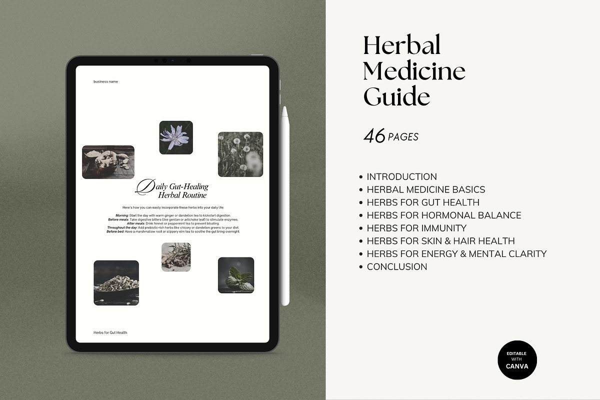 Herbal Medicine Ebook Template, a Magazine Template by Terraa Studio Design (Photo 2 of 9)