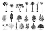 Landscape Vintage Illustrations, an Education Illustration by hypegraphic (Thumbnail 3 of 5)