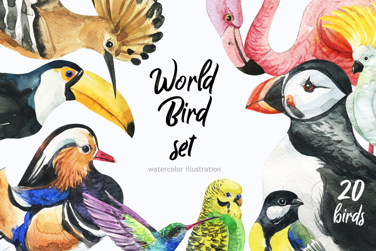 Beautifull Fly-bird set, a Texture Illustration by KatBranchArt (Photo 1 of 4)