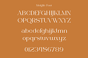 Molgife - Fashion Brand Font, a Serif Font by Iqsiart Studio (Thumbnail 11 of 15)