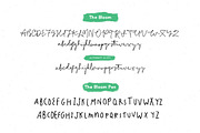 The Bloom Project, a Script Font by vuuuds (Thumbnail 7 of 7)