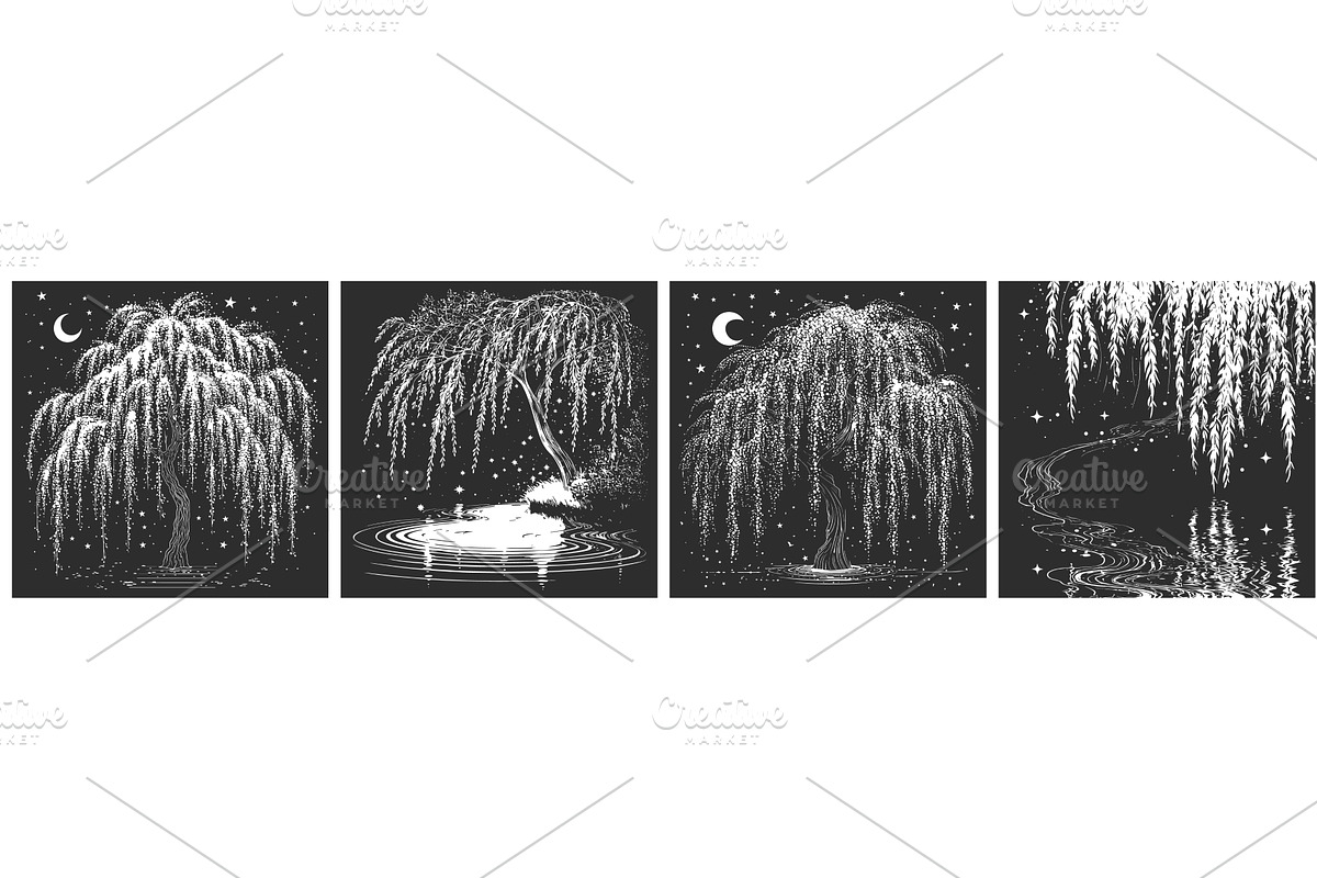 weeping willow engraving set. white, an Illustration by Stock-Smart-Start
